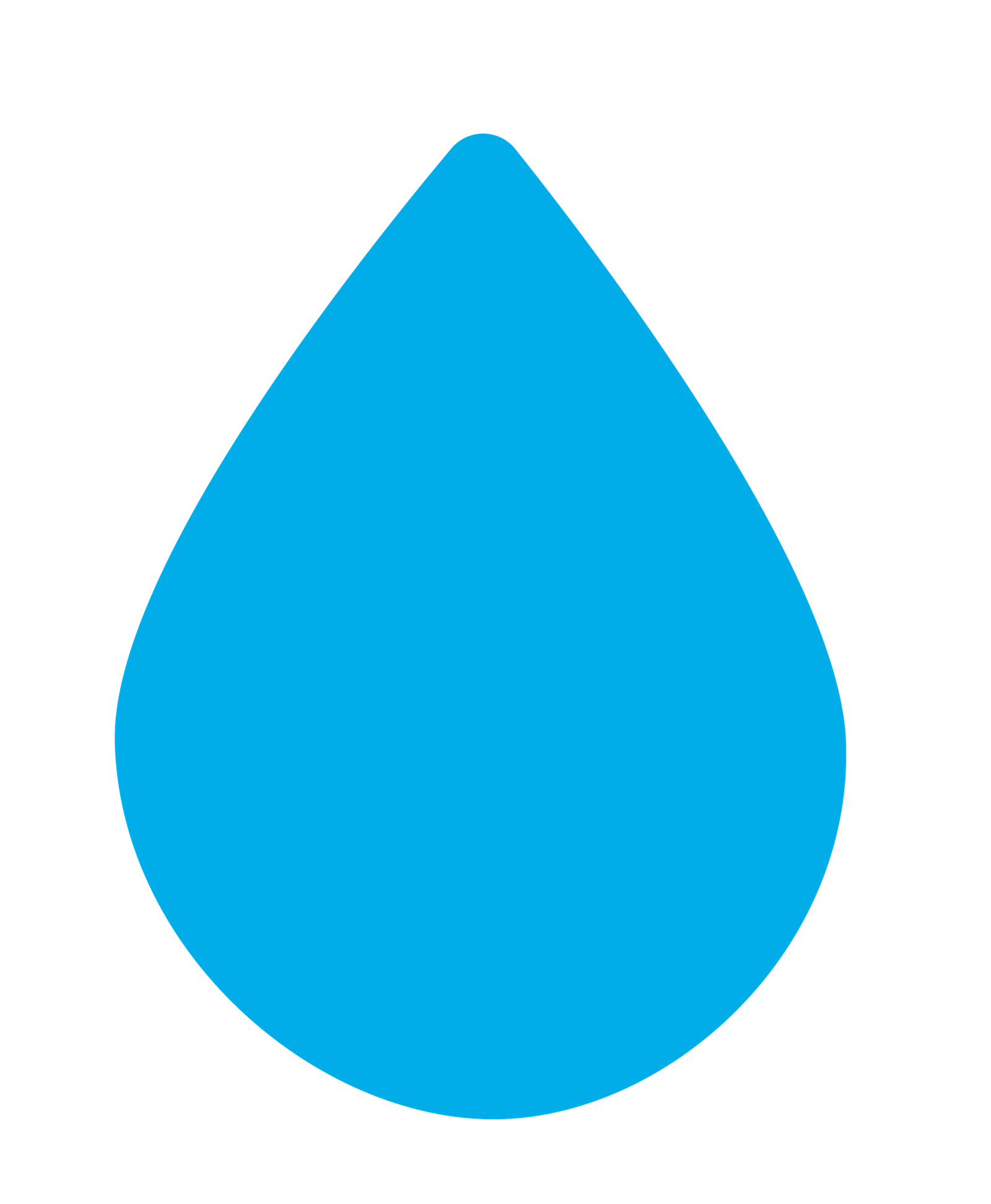 Hydroponically Grown