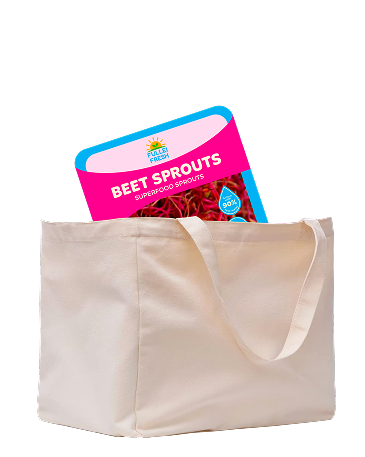 Cesta de productos 1